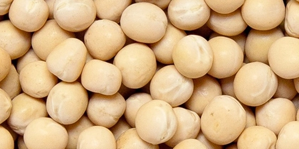 White Peas/Safed Matar - 500g