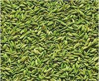 Hari Saunf /green fennel - 100g
