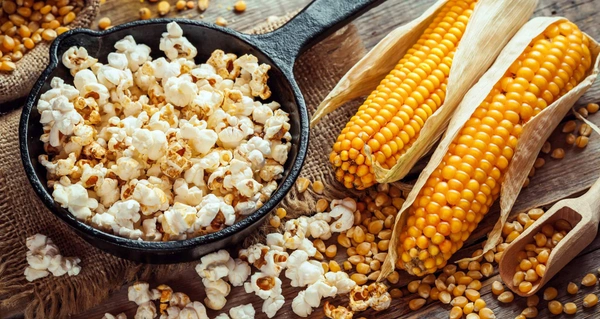 Popcorn Seeds - 250