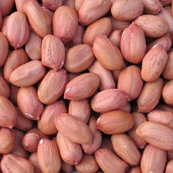 peanut kernel/ Mungfali Dana - 1kg
