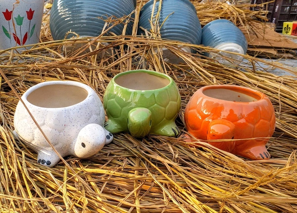 Ceramic Turtle Planter - H-4 Inch, L- 7 Inch, W- 5 Inch, Customize, SCI - 467