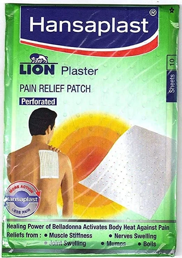 Lion Plaster