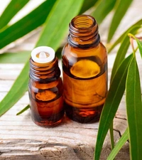 Eucalyptus Oil - 15ml