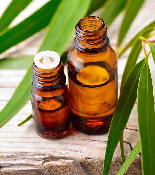 Eucalyptus Oil - 15ml