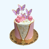 Elegant Butterfly Cake - 7.5 Kg