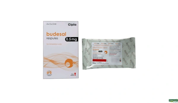 Budesal 0.5mg Respules 2ml - 1 Strip