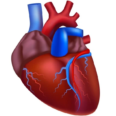 Cardio Medicines