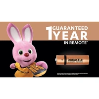 Duracell Chhota Power Alkaline Battery AA - Pack of 10.