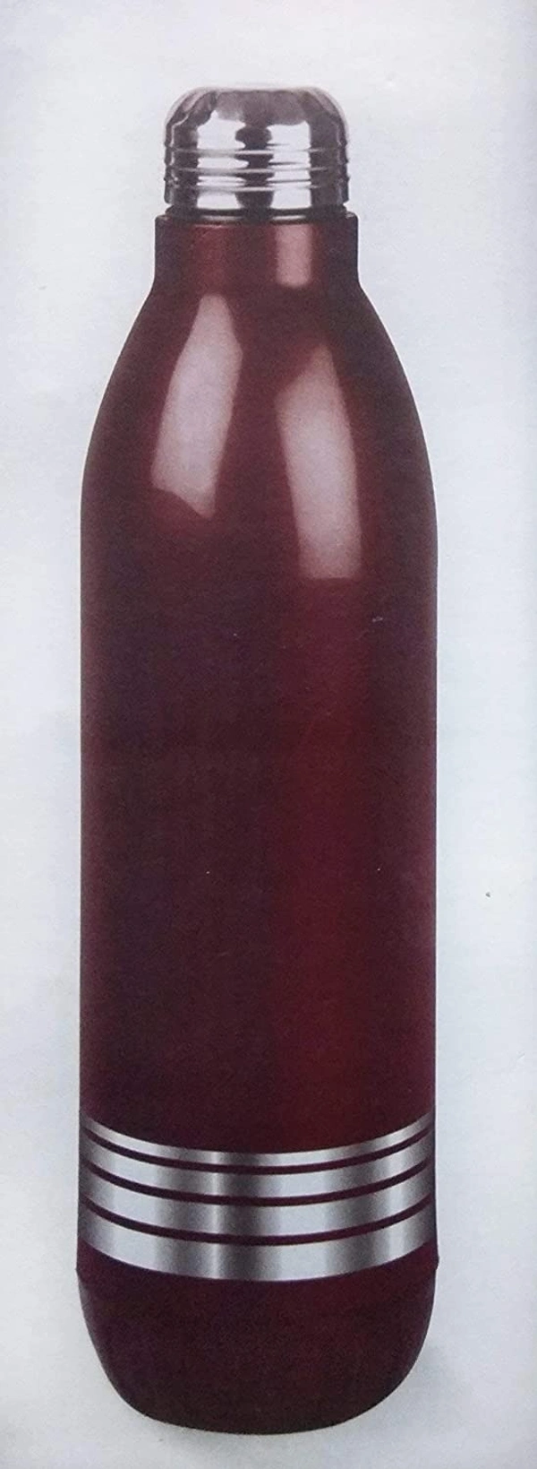 Cool water Insulated Water Bottle - 700 Ml., Purple