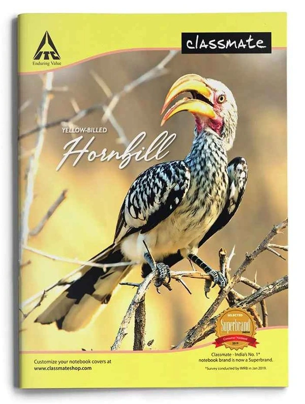 Classmate Notebook, 172 Pages, Soft Cover, 24.0 Cm X 18.0 Cm - Single Line