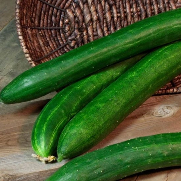 Green Cucumber - 250g ( Kakadi)