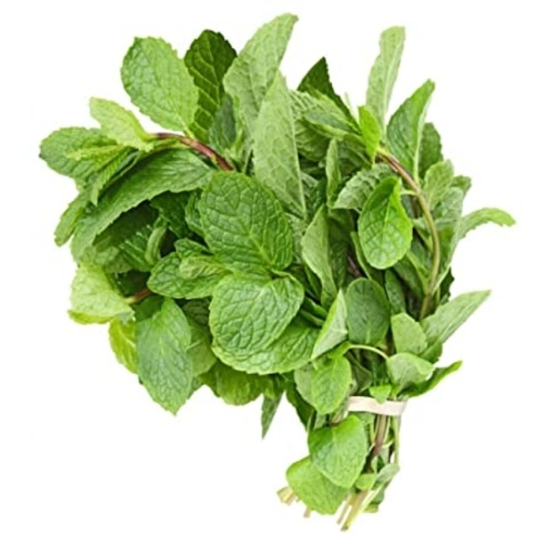 Mint Leaves -100g(Pudina Patti)