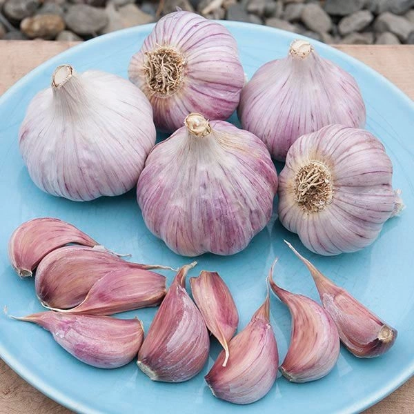 Garlic-250g(Lahsun)