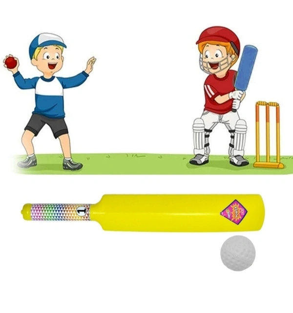 Plastic Cricket Bat Ball Set For Boys And Girls