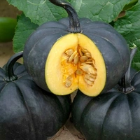 Pumpkins - 250gm