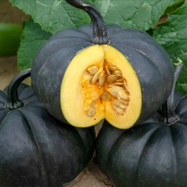 Pumpkins - 250gm