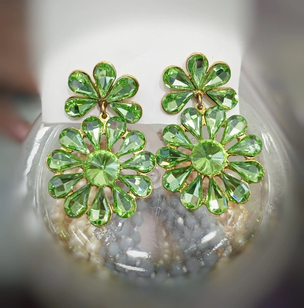 Western earrings hwest1