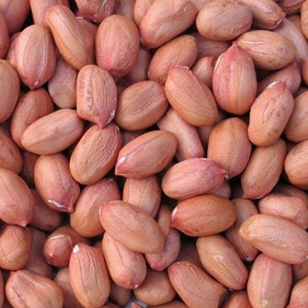 Groundnuts (Moongfali) - 500 Gram