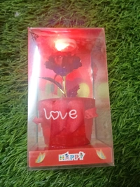ROSE GIFT