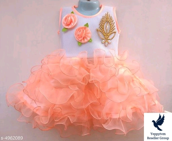 Agile Stylus Girls Frocks & DressesFabric: NetSleeve Length: SleevelessPattern: EmbellishedMultipack: SingleSizes:6-12 Months, 9-12 Months, 12-18 Months, 18-24 Months, 0-1 Years, 1-2 Years. 900