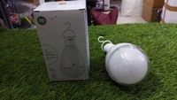LED Lights In Shape Of Fan 