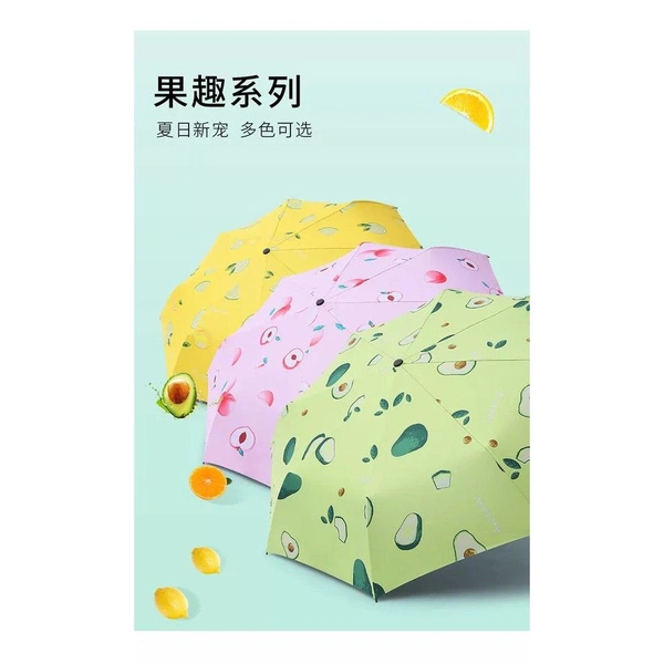Umbrellas Collections. 