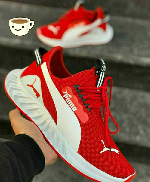 Premium Shoe For Man