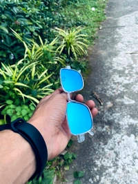 Sun Shades - Magnolia