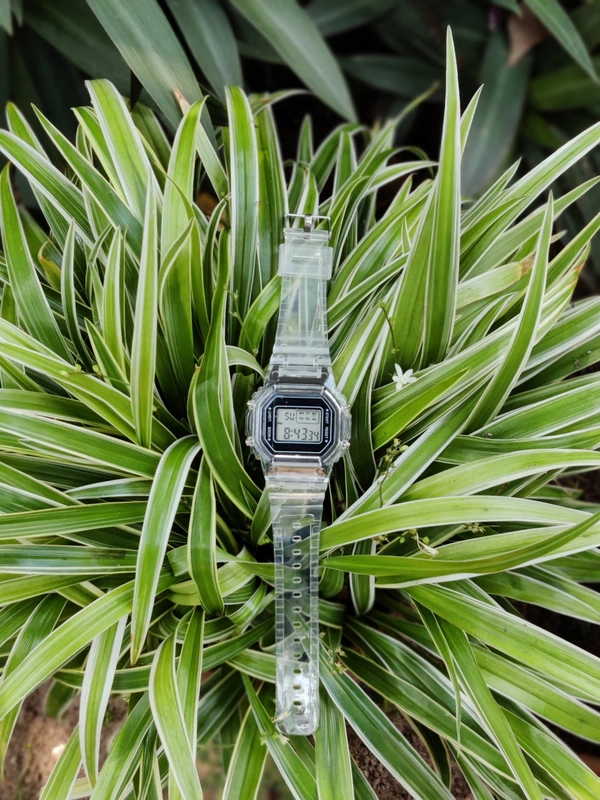 Squared Transparent Wrist Watch 