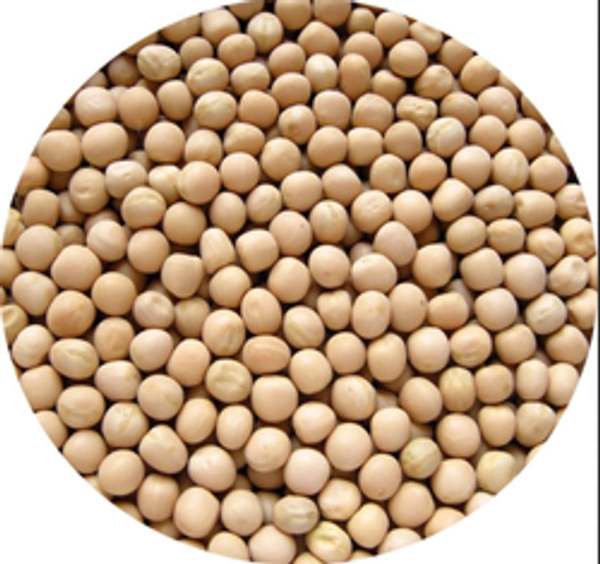 GOTA MATAR  250g