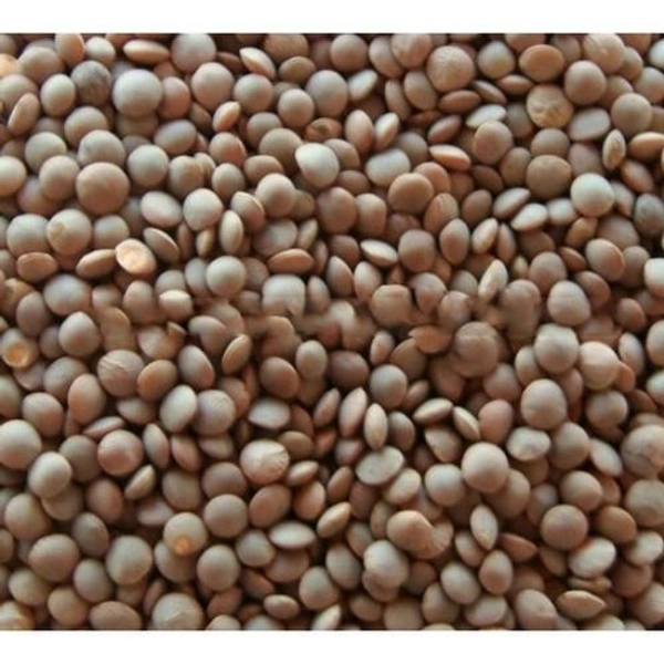 GOTA MASOOR 500g