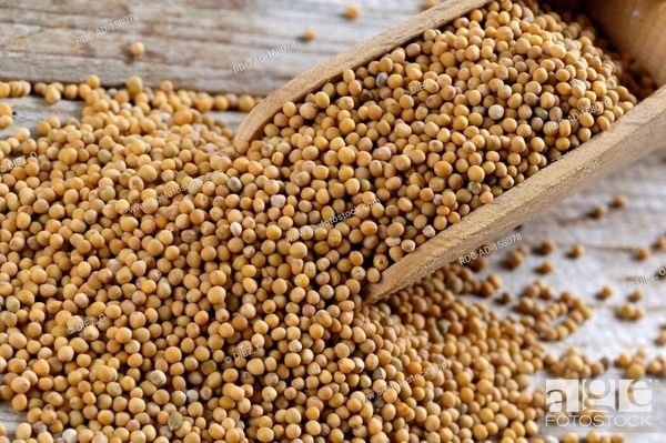 SHADA SORSA. 50g