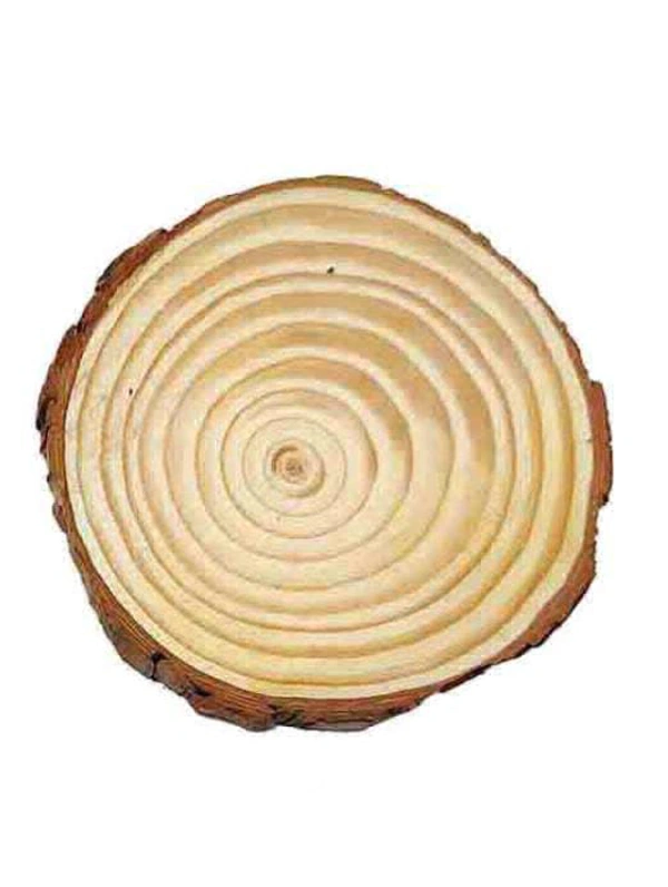 WOODEN LOG  - 12×13 CM
