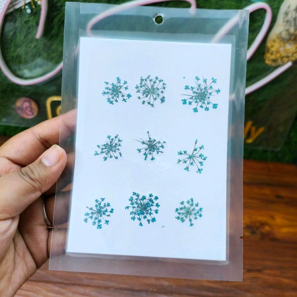 Queen Anne Dry Pressed Blue  - 2*2.5CM APPROX