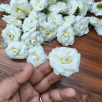 Velvet White And Red Roses Pack Of 50 Pcs 