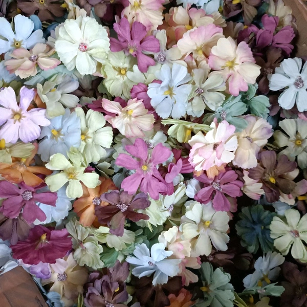 Cosmo Flower Multi  (20pcs)