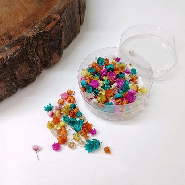 Tiny Daisy Dary Flower Multi 