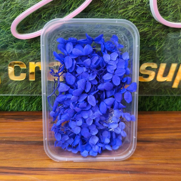 Hydrangea Box