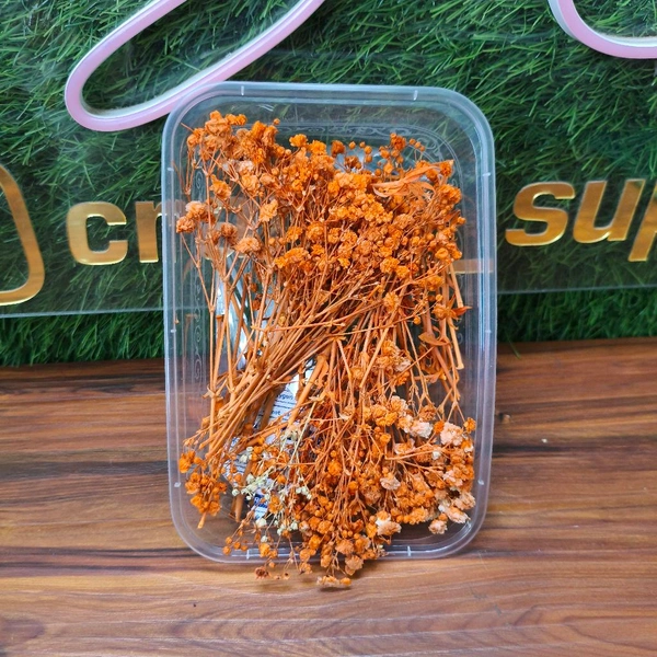 Baby Breath Box / GPSY