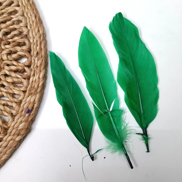 Feathers Pack Of 10 Pcs Dark Green 