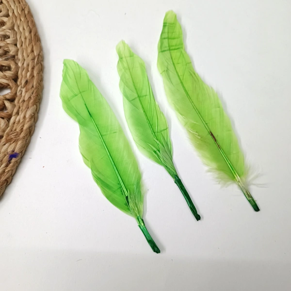 Feather Pack Of 10 Pcs Green 