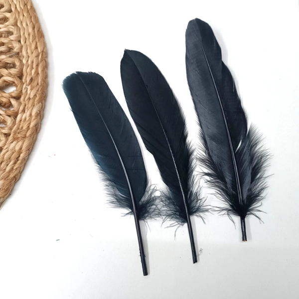 Feather Pack Of 10 Pcs black 