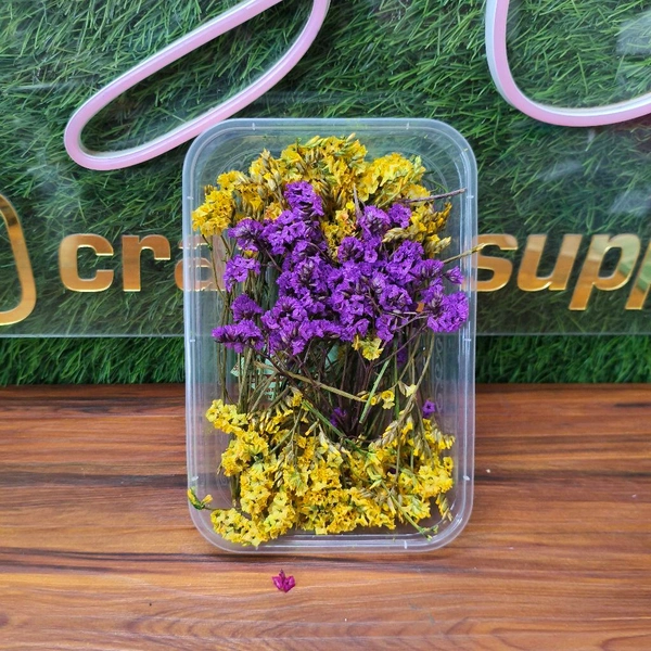 Dry Flower Box 