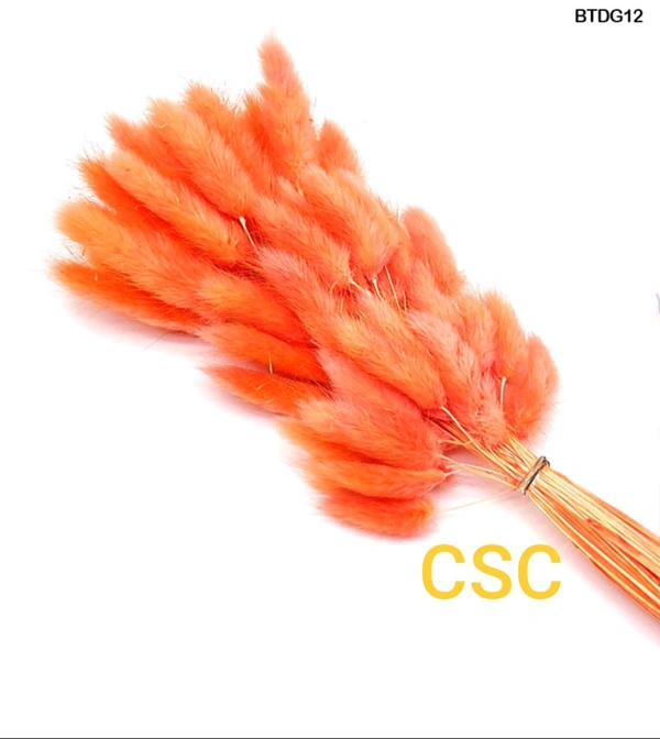 Bunny Tails Orange 30 Sticks