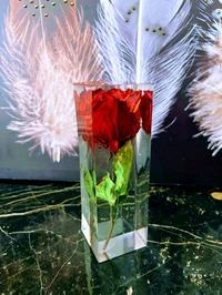 Resin Block Mold 6.5×11 CM22 mm deep 