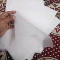 A4 Vellum Paper (10 Sheets) 