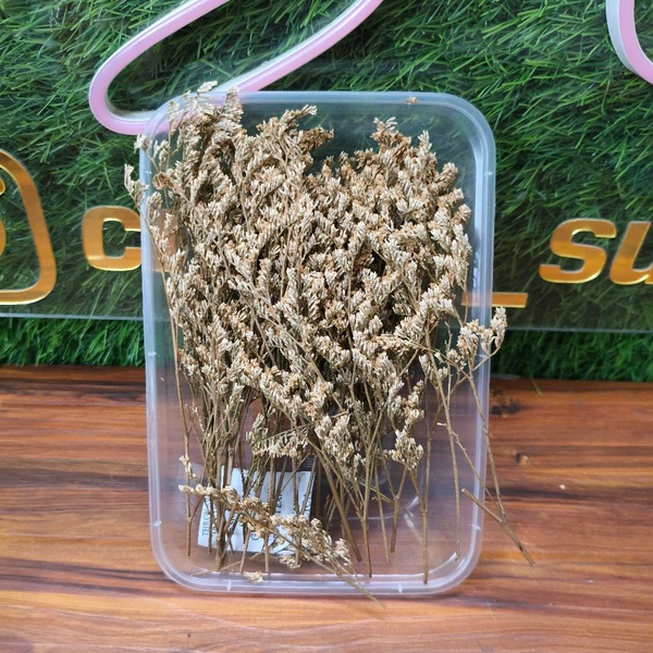 Dry Flower Grass 