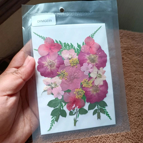Dry Pressed Flower 