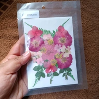 Dry Pressed Flower 