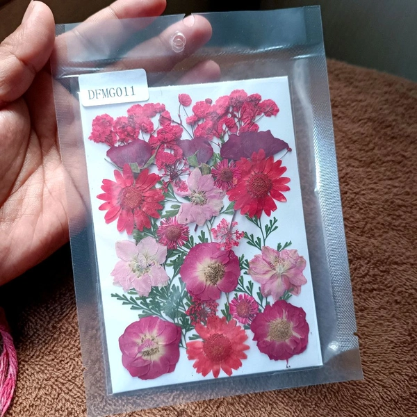 Dry Pressed Flower 